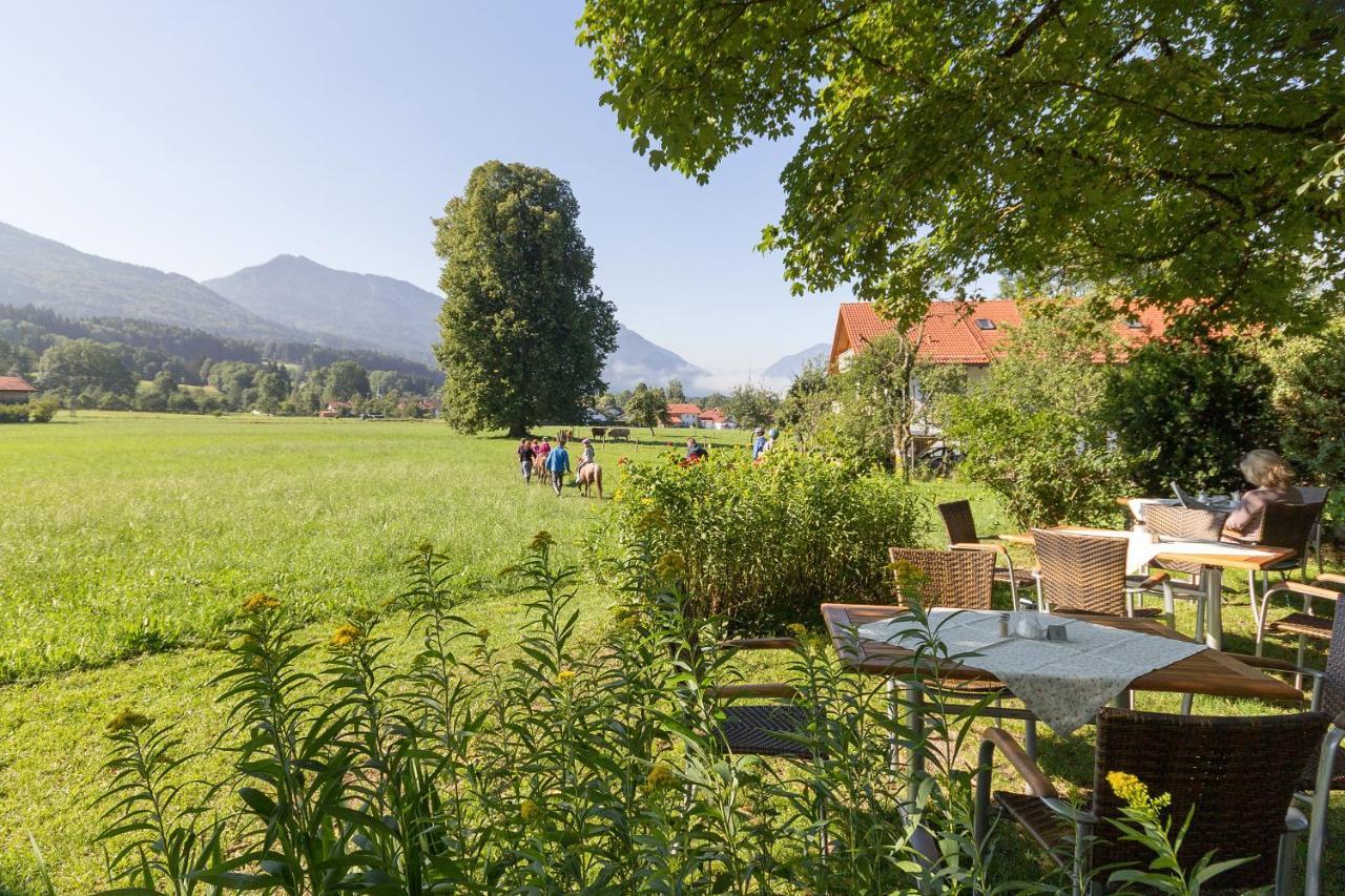 Landhotel Die Waldschaenke كوشل المظهر الخارجي الصورة